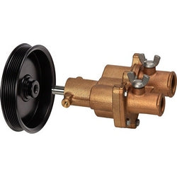 Water Pump Assembly W/Pulley