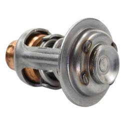 Thermostat SS