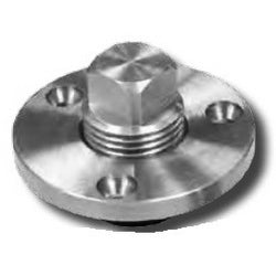 Garboard Drain Plugs SS